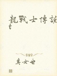 龙战士传说txt
