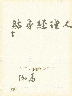 贴身经理人txt