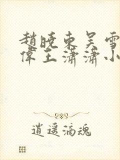赵晓东吴雪晴郑伟王潇潇小说名字