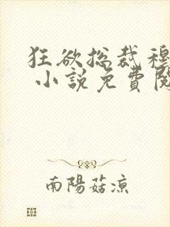 狂欲总裁穆非雪 小说免费阅读封面