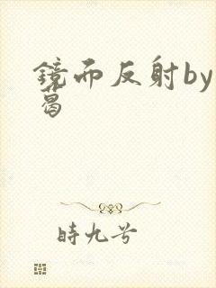 镜面反射by九葛