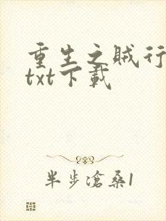 重生之贼行天下txt下载