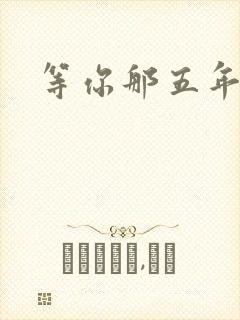 等你那五年