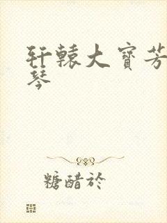 轩辕大宝芳菲雅琴