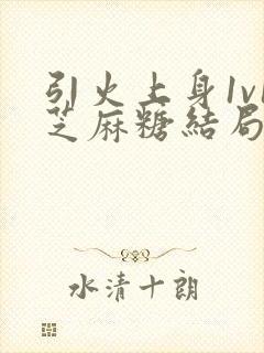 引火上身1v1芝麻糖结局封面