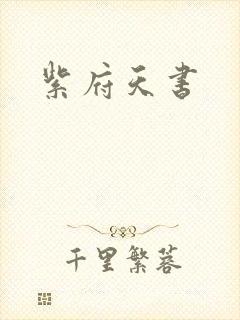 紫府天书