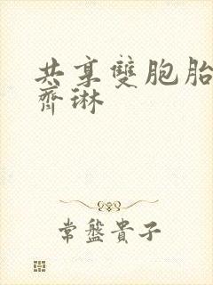 共享双胞胎齐娜齐琳