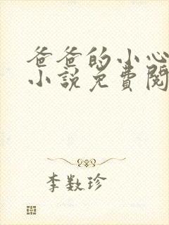 爸爸的小心肝儿小说免费阅读