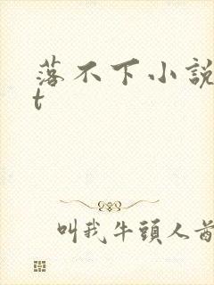 落不下小说txt