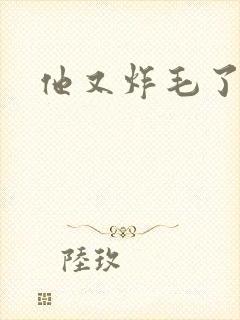 他又炸毛了