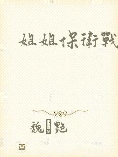 姐姐保卫战封面