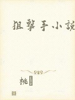 狙击手小说