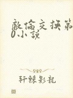 敌伦交换第150小说封面