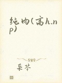 纯肉(高h.np)