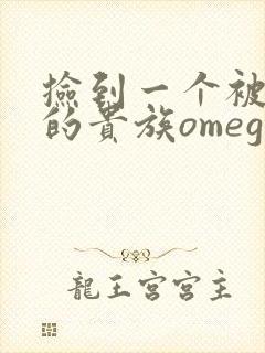 捡到一个被抹布的贵族omega封面