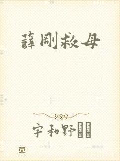 薛刚救母