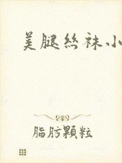 美腿丝袜小说