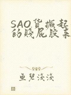 SAO货撅起你的贱屁股来