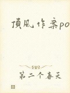 顶风作案po封面
