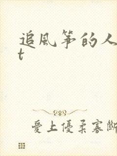 追风筝的人txt
