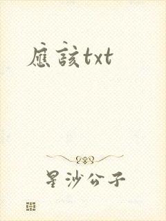 应该txt