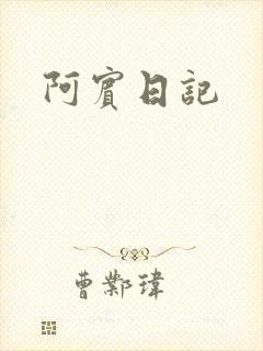阿宾日记封面