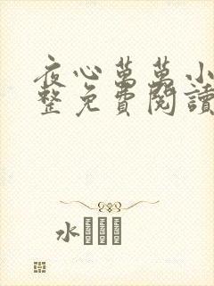 夜心万万小说完整免费阅读全文