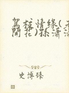 驾校情缘(老树开花)孙潇潇第一次趣笔阁封面