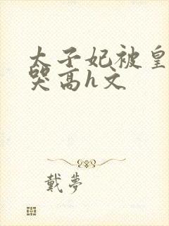 太子妃被皇上c哭高h文