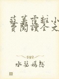 苏莱霍离小说免费阅读全文封面