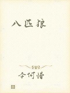 八匹狼