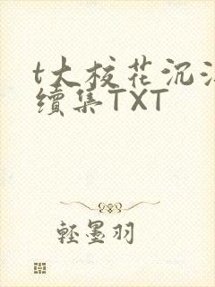 t大校花沉浮录续集TXT