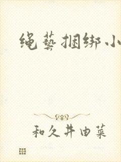 绳艺捆绑小说