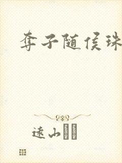 夺子随侯珠封面