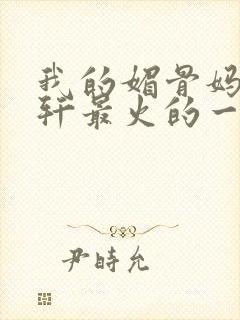 我的媚骨妈妈林轩最火的一句