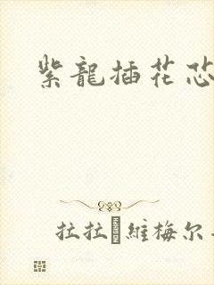 紫龙插花芯