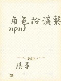 角色扮演系统(npn)