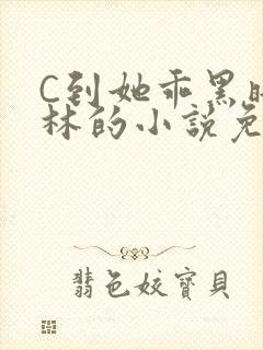 C到她乖黑暗森林的小说免费封面