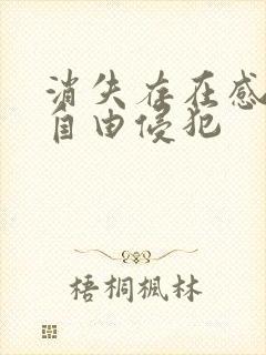 消失存在感消失自由侵犯