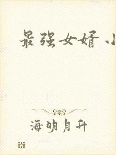 最强女婿 小说
