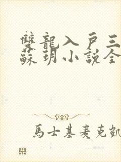 双龙入户三人行苏玥小说全文阅读