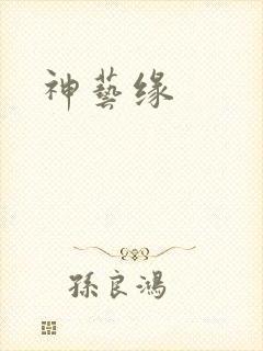 神艺缘封面