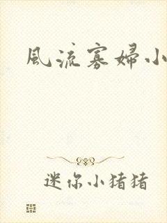 风流寡妇小说