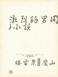 激烈的男同(h)小说