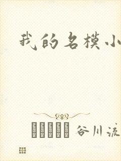 我的名模小娇妻