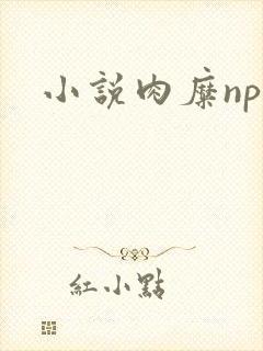小说肉糜np