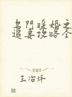 名门暖婚之权爷追妻攻略全文免费阅读