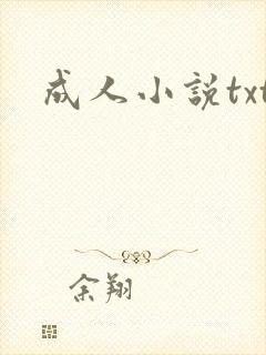 成人小说txt