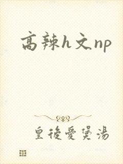 高辣h文np封面