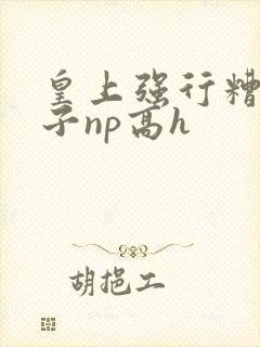 皇上强行糟蹋太子np高h
